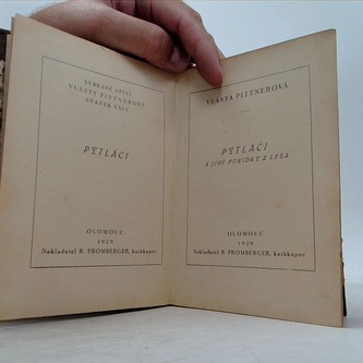 Pytláci a jiné povídky z lesa