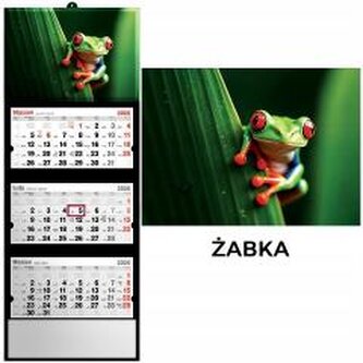 Kalendarz 2026 trójdzielny żaba