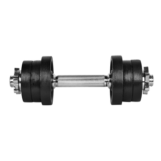 Činka nakládací RULYT® Angular jednoruční 9 kg, 30mm tyč/6x kotouč