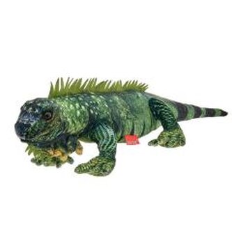 Iguana 61cm