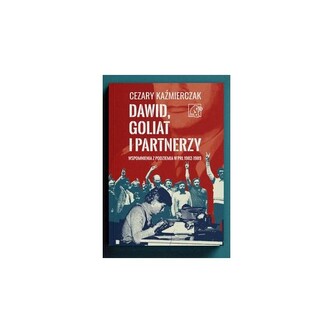Dawid, Goliat i partnerzy  Wspomnienia z podziemia PRL 1982-89