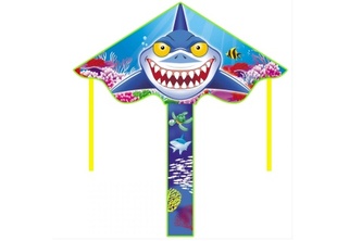 Drak létací žralok