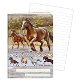 Sešit A6, 40 listů, typ 644 Wild horses