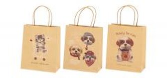 Torebka prezentowa KH 14348 S