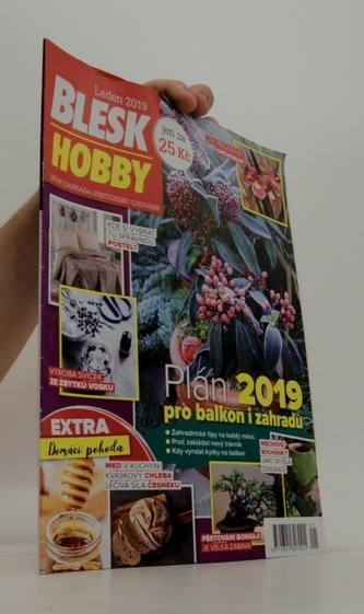 Blesk Hobby - leden 2019