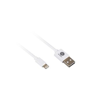 GoGEN Propojovací Lightning kabel