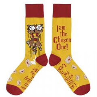 Skarpetki - Wybraniec 37/41