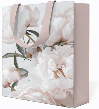 Papírová taška Anna Style CD TE7/263