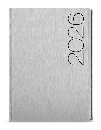 Denní diář 2026 - David - ForMen - A5 - Silver