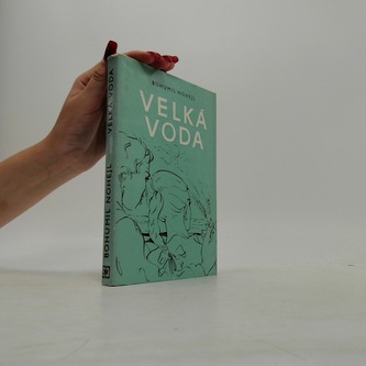Velká voda