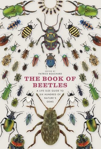 The Book of Beetles The Book of Beetles