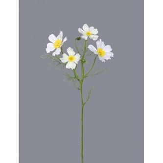 Cosmos - Krásenka  100-0158/WH