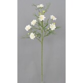 Cosmos - Krásenka  100-0114/WH