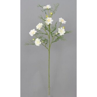 Cosmos - Krásenka  100-0114/WH