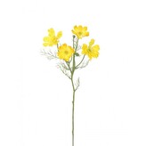 Cosmos - Krásenka  100-0158/YE