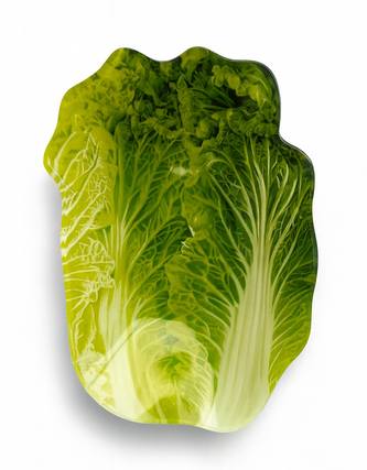 ARIA FRESH Naczynie sałata 15x22xh4cm