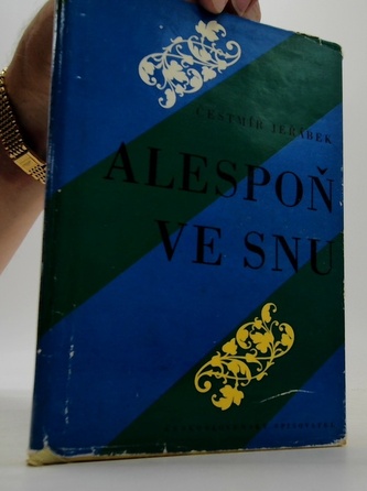 Alespoň ve snu