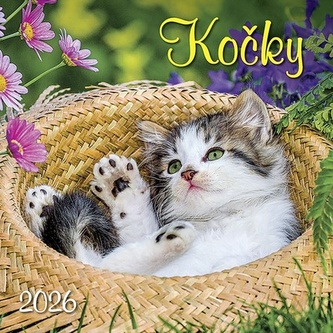 Kočky 2026 - nástěnný kalendář