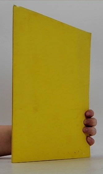 Jan Neruda v Litomyšli