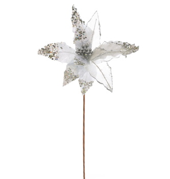 Poinsetie třpytivá - stříbrná