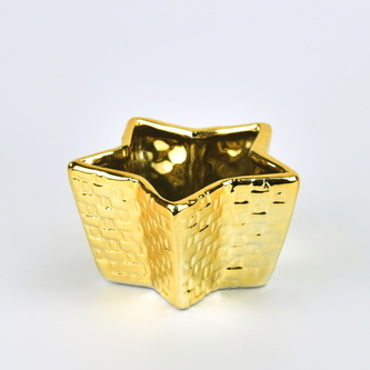 Miska hvězda vroubkovaná zlatá