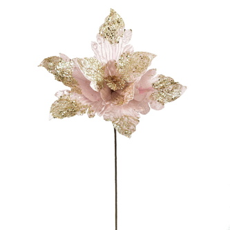 Poinsetie třpytivá - růžová