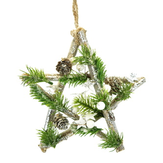 Hvězda bílo-stříbrná 20 cm