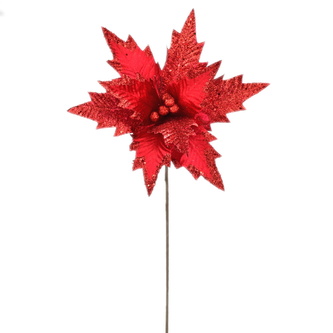 Poinsetie třpytivá - červená