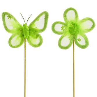 Kytička a motýl zápich zelený