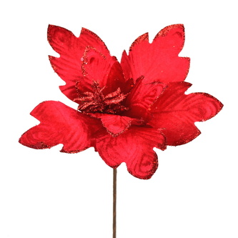 Poinsetie třpytivá zápich - červená