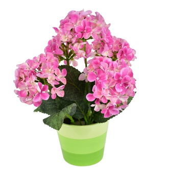 Hortenzie růžová 5 květů v keramickém květináči 33x27 cm