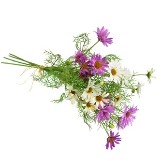 Luční kvítí kopretiny světle fialové 70 cm