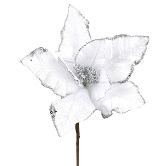 Poinsetie třpytivá zápich - bílá