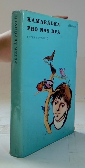 Kamarádka pro nás dva
