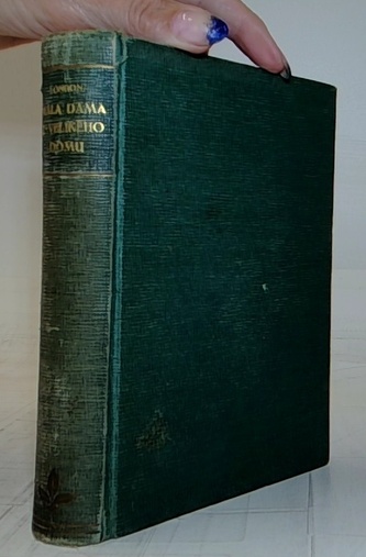 Malá dáma z Velikého domu