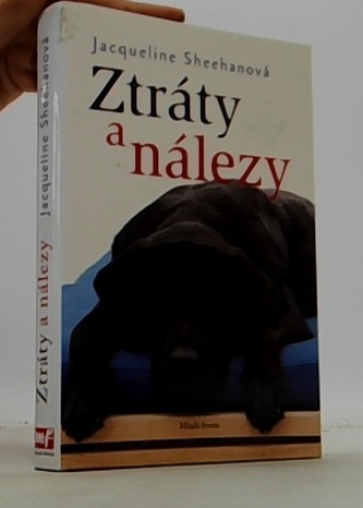 Ztráty a nálezy