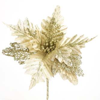 Poinsetie třpytivá zápich - šampaň