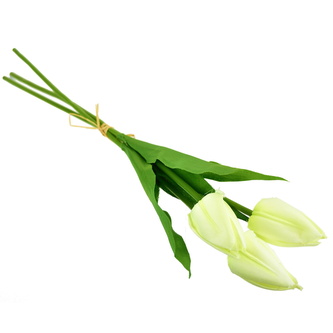 Svazek 3 ks tulipánů krémové 50 cm