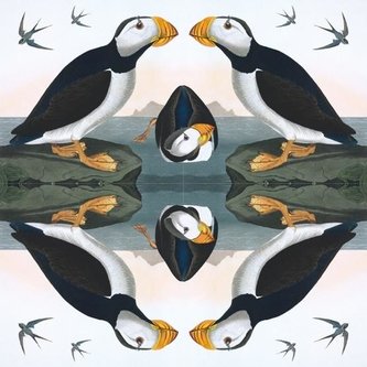 Karnet kwadrat z kopertą Horned Puffin