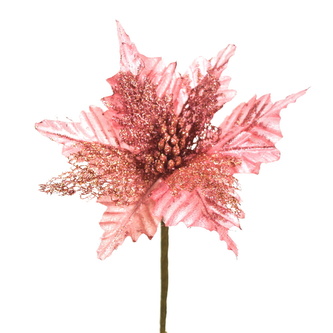 Poinsetie třpytivá zápich - růžová