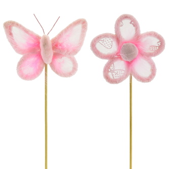 Kytička a motýl zápich růžový