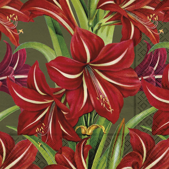 Papírový ubrousek Red Christmas Flowers Amaryllis