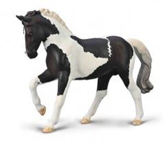 Ogier Ciepłokrwisty Czarny Tobiano