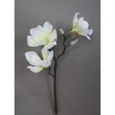 Magnolie, 55 cm  110-0063