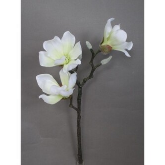Magnolie, 55 cm  110-0063