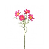 Cosmos - Krásenka  100-0158/BTY