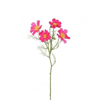 Cosmos - Krásenka  100-0158/BTY