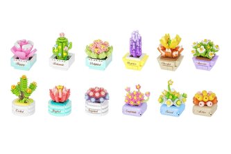 Stavebnice mini KOCO Sukulent v květináči plast mix druhů v krabičce 8x12x4cm 12ks v boxu