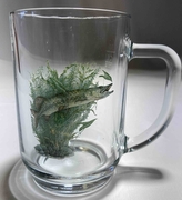 sklen. 500ml, 1ks, ŠTIKA - BOHEMIA HLADKÝ, cejch, pivo