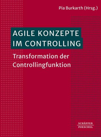 Agile Konzepte im Controlling